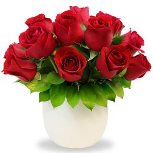 Bowl con 12 rosas rojas