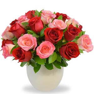 Bowl con 24 rosas rosa y rosa roja