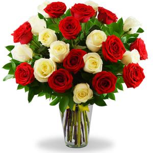 Florero con 24 rosas combinadas en tono blanco y rojo