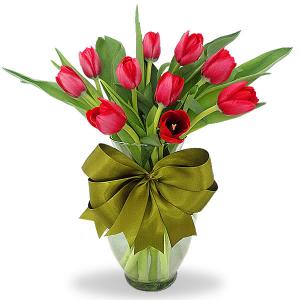 10 tulipanes rojos en florero