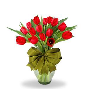 20 tulipanes rojos en jarron