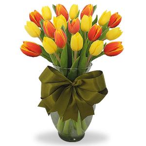 20 Tulipanes combinados en florero