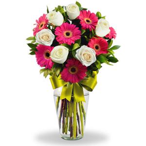 Florero con gerberas fiusha y 6 rosas blancas