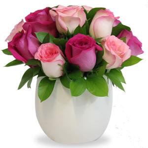 Bowl con 12 rosas fiusha y rosas rosa