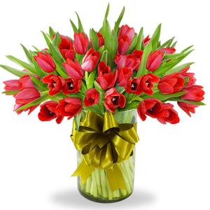 Florero con 50 tulipanes rojos