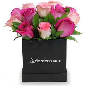 Caja con 12 rosas fiusha y rosas rosa