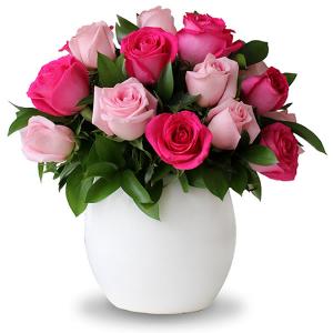 Bowl con 24 rosas fiusha y rosas rosa