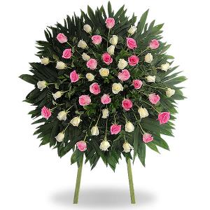 Corona con 50 rosas combinadas rosa y blanco