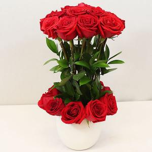 Bowl con 24 rosas rojas altas