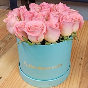 Caja aqua con 24 rosas rosas