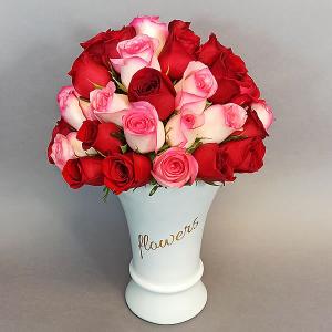 70 Rosas roja y rosa en florero blanco