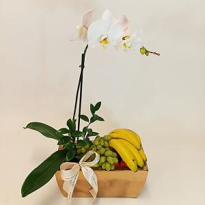 Frutal con planta de orquidea