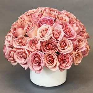100 Rosas pink en base