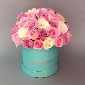 Tiffany box roses