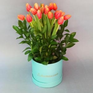 Tiffany box tulips