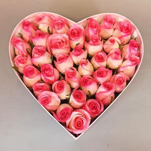 Corazon de rosas rosa
