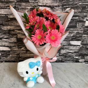 gerberasenramoypeluche