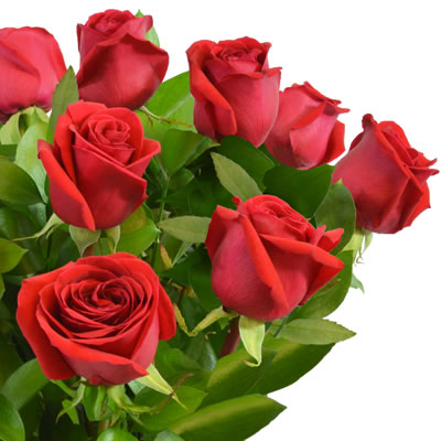12 rosas rojas en florero 2234