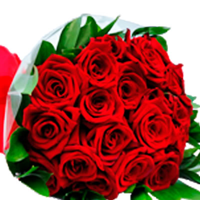 Ramo de 24 rosas tono rojo 2246
