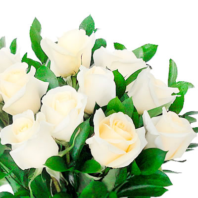 12 rosas en jarron color blanco 2254