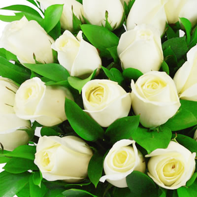 Rosas blancas en florero con 50 rosas 2258