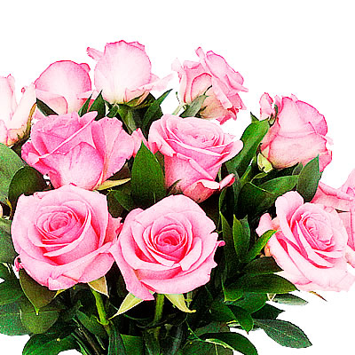 Docena de rosas rosa en jarron 2262