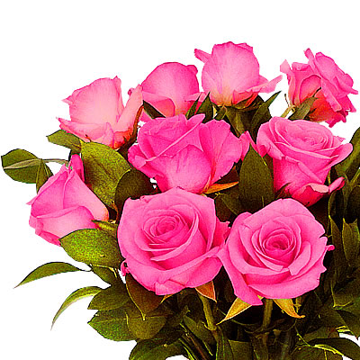 Jarron con 50 rosas pink fiusha 2274