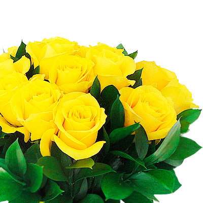 Con sus flores amarillas 2276