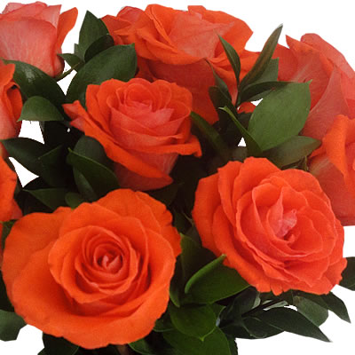 Rosas naranja en florero 12 piezas 2280