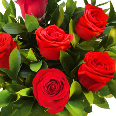 Florero con 6 rosas rojas 2232