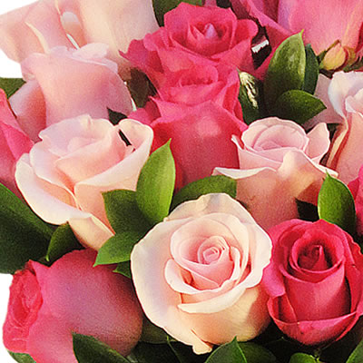 Florero con 24 rosas tonos rosa y fiusha 2286