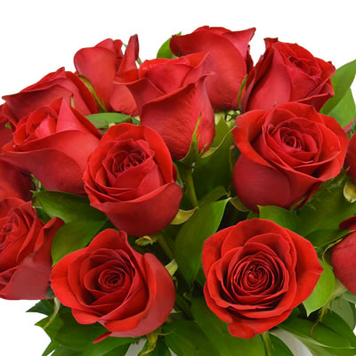 Arreglo de 24 rosas rojas en base blanca 2470
