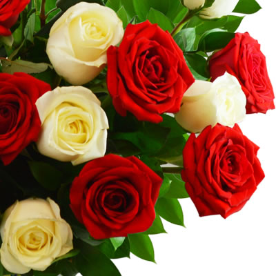 Jarron con 24 rosas rojas y blancas 2288