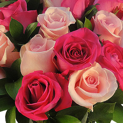 Rosas rosa y rosas fiusha en jarron de cristal 2300