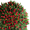Corona funeraria de rosas rojas 3346