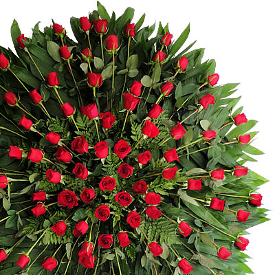 corona de 100 rosas rojas Condolencias  3348
