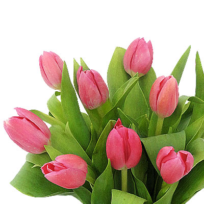 Jarron con 10 tulipanes rosa 2412
