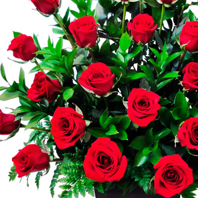 2 docenas de rosas rojas en arreglo 2418