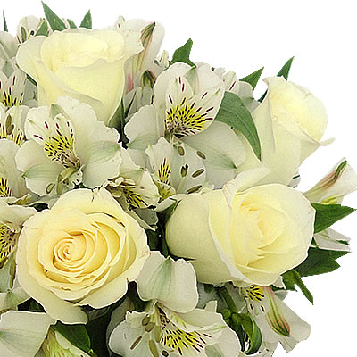 Alstromerias blancas y rosas en florero 2329