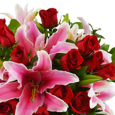 12 rosas rojas en jarron con star gazer 2393