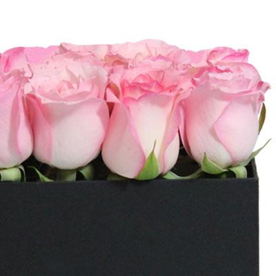 Arreglo en caja con 16 rosas rosa 2489