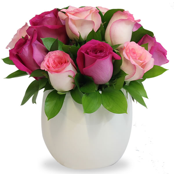 Bowl con 12 rosas fiusha y rosas rosa 2496