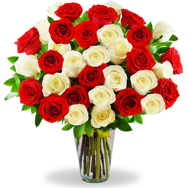 Florero con 50 rosas combinadas en tono blanco y rojo 2301
