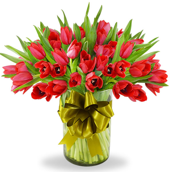 Florero con 50 tulipanes rojos 2449