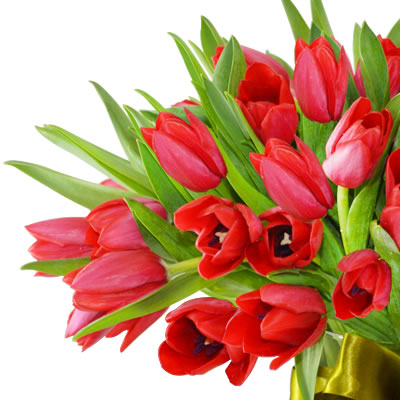 Florero con 50 tulipanes rojos 2450