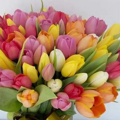 Florero con 50 tulipanes combinados 2452