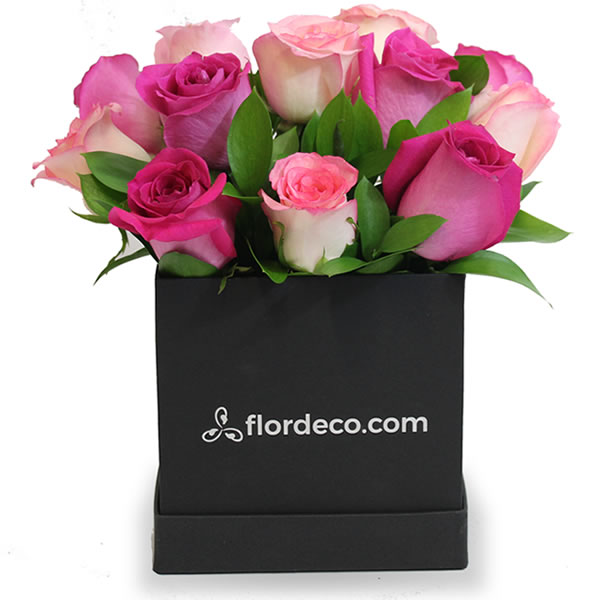 Caja con 12 rosas fiusha y rosas rosa 2512