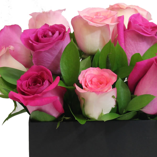 Arreglo en caja con 12 rosas en tonos rosa y fiusha 2513
