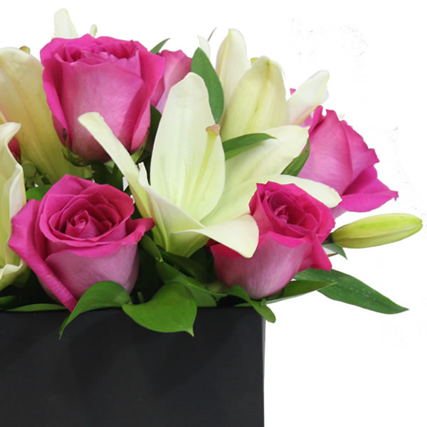 Rosas fiusha y lilis en caja 2515
