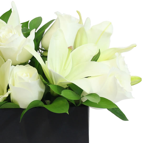 Lilis blancos y rosa en caja negra 2517